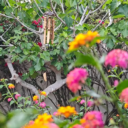 Villa Seaside House, Bellisima Casa En *