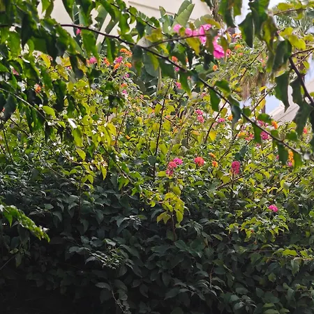 Seaside House, Bellisima Casa En * Μαρμπέλλα