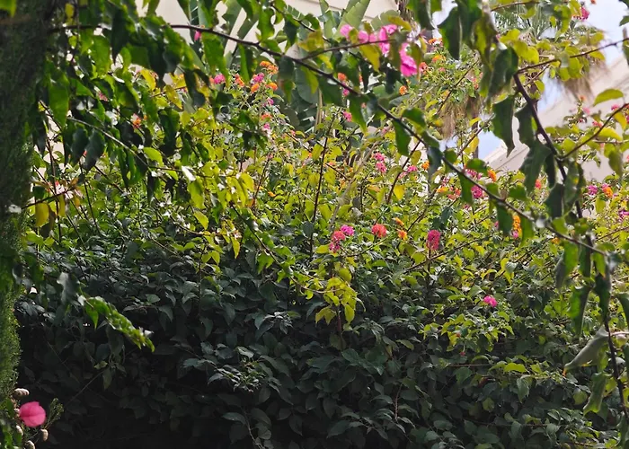 Seaside House, Bellisima Casa En * Marbella